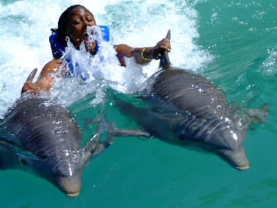 Dolphin Swim (3)