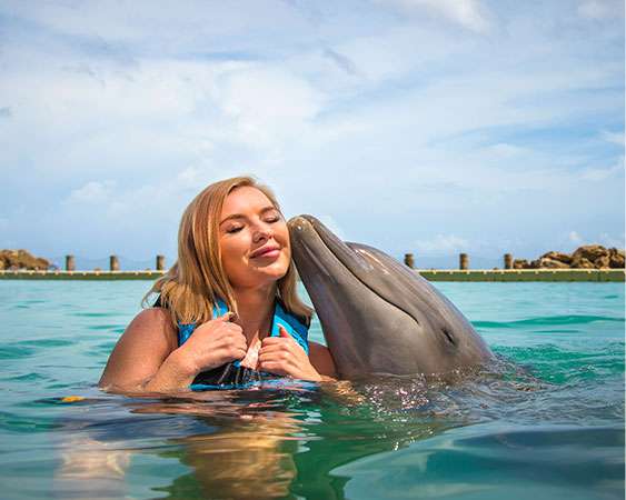 Dolphin Swim (4)