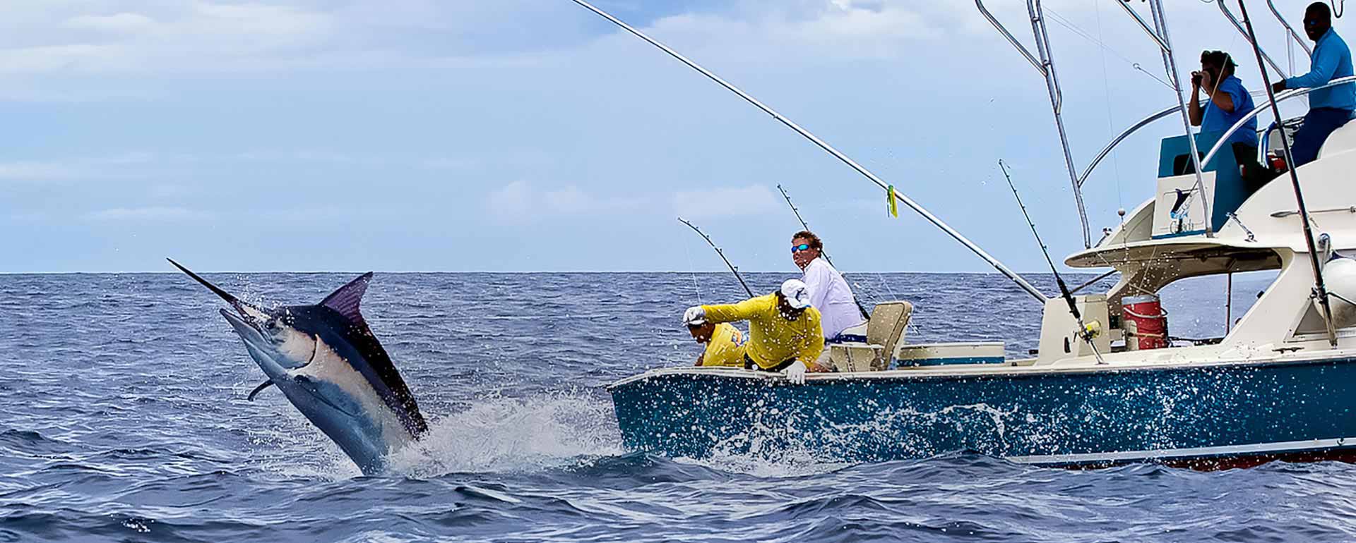 Fishing Trips (1)